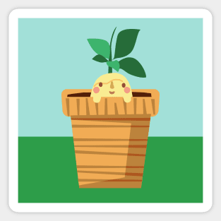 Kawaii Mandrake Sticker